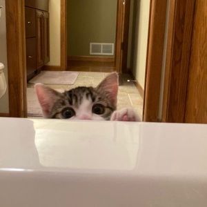 Meet your Posher, Lili